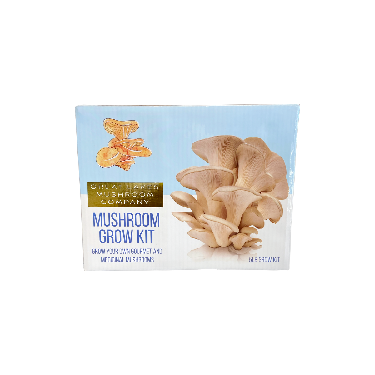 Mushroom Grow Kit