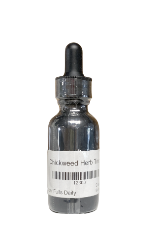 Chickweed Herb Herbal Tincture