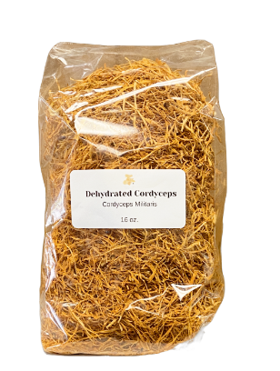 Dehydrated Bulk Cordyceps Militaris | 16 oz.