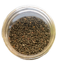 Organic Elderberries | 2 oz.