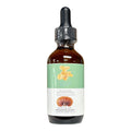 Reishi Dual Extracted Tincture | 60ml | 12,180mg